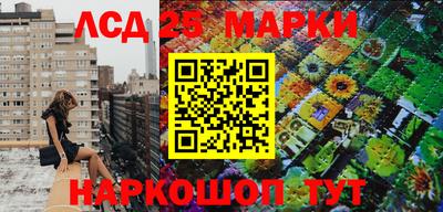СК Тверь