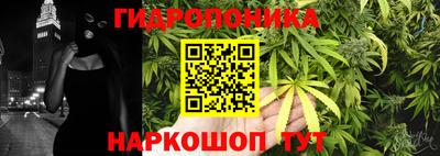 jwh Тара
