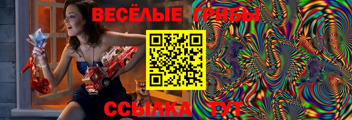 Галлюциногенные грибы Psilocybine cubensis  Вход с VPN  Троицк 