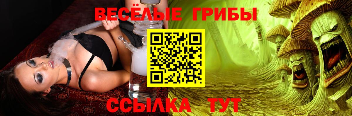 Галлюциногенные грибы Magic Shrooms Троицк